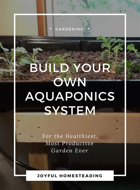 Indoor Aquaponics for a Healthy, Low-Cost Source of Food