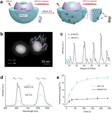 Dual Channel Lanthanide Doped Nanoprobe For Reliable Multi Signal