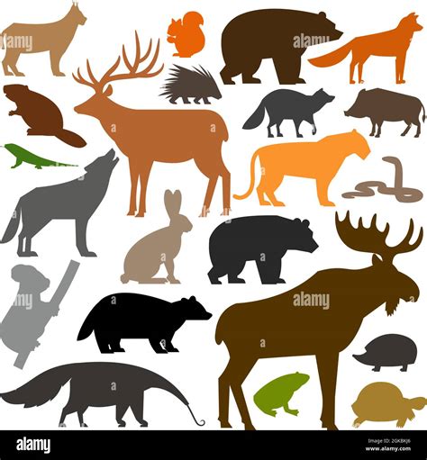 Collection of colored silhouettes of forest wild animals Stock Vector ...