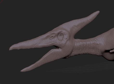 Jurassic Park 3 Pteranodon by yankeetrex on DeviantArt