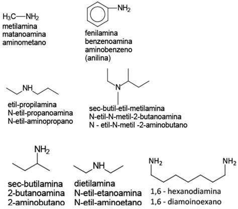Amidas Vs Aminas CHEM 102 : Organic & Biolgical Chem College Of