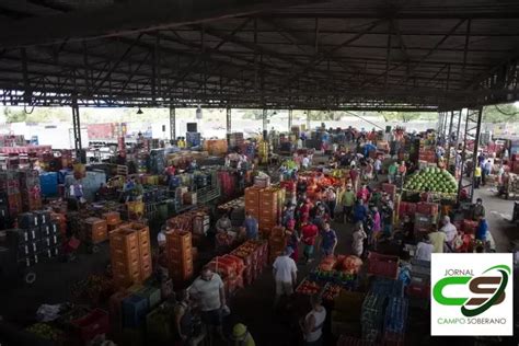 Motivos Para Escolher Os Produtos Da Ceasa Rj Para Sua Agricultura