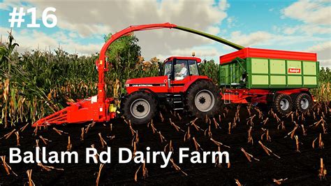 Ballam Rd Dairy Farming Dairy Sheep Maize Silage Cows Timelapse