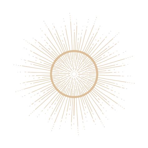 The Dallas Movement Collective