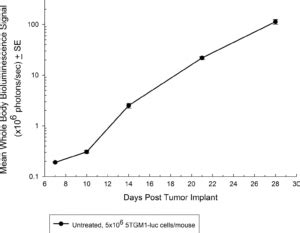 Tgm Luc A Syngeneic Murine Model For Multiple Myeloma