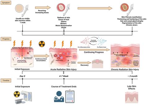 Frontiers | Deciphering the fibrotic process: mechanism of chronic