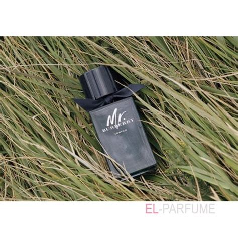 Burberry Mr. Indigo купить в Минске: Мистер Барбери Индиго