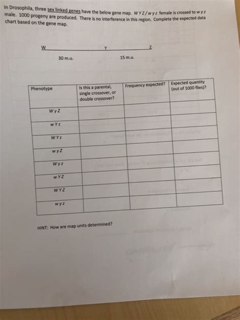 Solved In Drosophila Three Sex Linked Genes Have The Below Chegg
