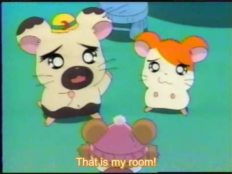 Tottoko Hamtarou Episode 149 English Subbed Watch Cartoons Online