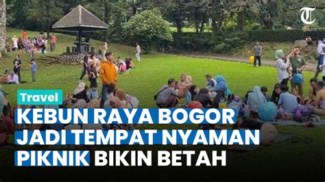 Suasana Kebun Raya Bogor Saat Libur Lebaran Jadi Tempat Piknik Nyaman