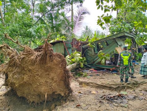 Sebanyak Rumah Di Aceh Timur Rusak Parah Akibat Pohon Tumbang