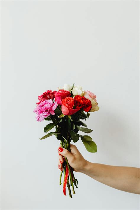 Photo of Woman's Hand Holding Out White Flowers In Front of White ...