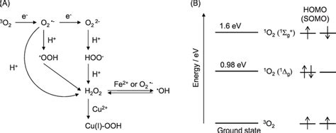 Singlet Oxygen Molecular Orbital Diagram Molecular Orbital Diagrams