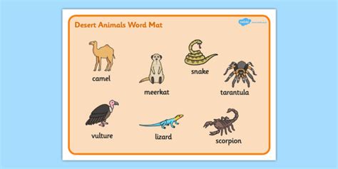 Desert Animals Word Mat Teacher Made