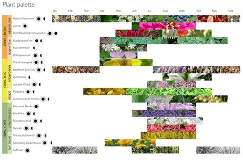 Several Different Graphic Designs For Creating A Planting Palette