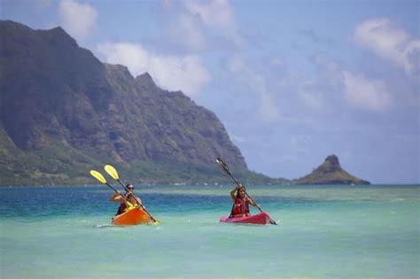 Things To Do In Oahu Hawaii Events Paradise Bay Resort
