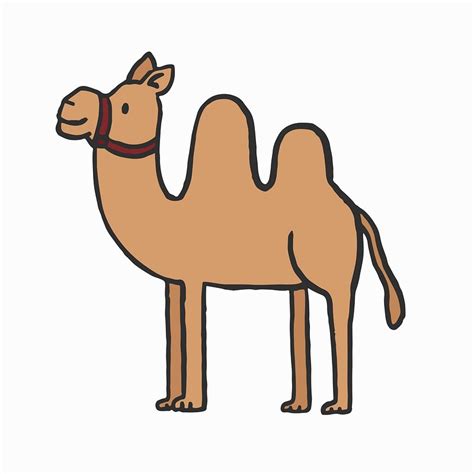 Hand Drawn Camel Illustration Premium Vector Illustration Rawpixel