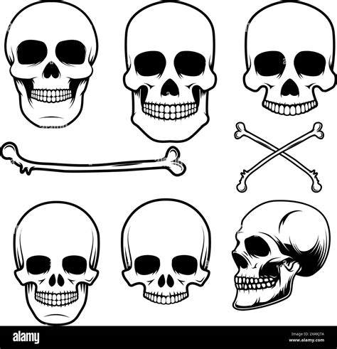 Dead Body Human Skulls Stock Vector Images Alamy