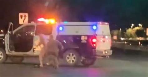 Naked Man Assaults Police Officer Steals Cruise Before Wrecking