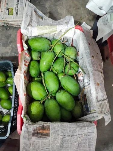 Green Mango Crate Packaging Size 20 Kg At Rs 50 Kg In Bengaluru ID