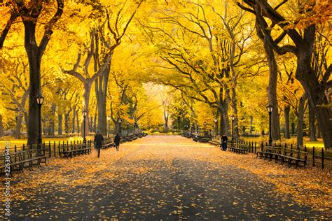 Herbst Im Central Park In New York City USA Stock Foto Adobe Stock