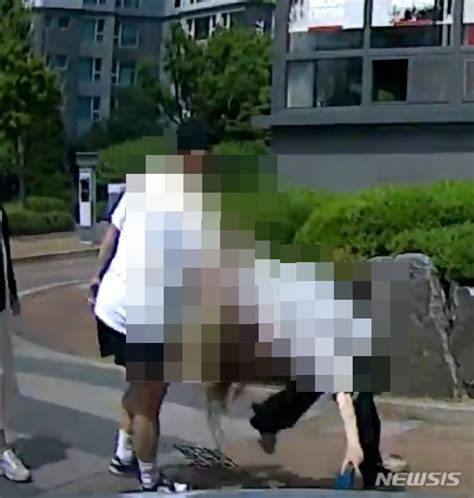 차 빼달란 말에전 보디빌더 30대女 머리채 잡고 무차별 폭행 파이낸셜뉴스