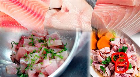 Receta Del Ceviche Estos Son Los Mejores Pescados E Insumos Para