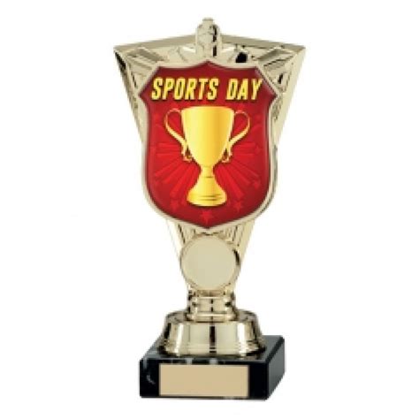 Sports day trophies in different designs | Bury Sports and Trophies