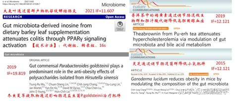 从基础研究到临床试验 带你了解中药组学研究的实验设计 知乎