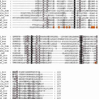 Sequence Alignment Of Plc Ph And Plc Ph And The Correspondence