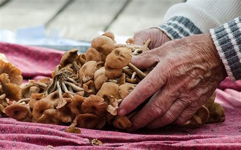 Dolac Market Full Of Life And Colour Visit Zagreb