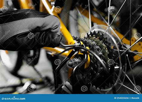 Bicycle Maintenance And Repair Mechanic Working In Bike Workshop Gear