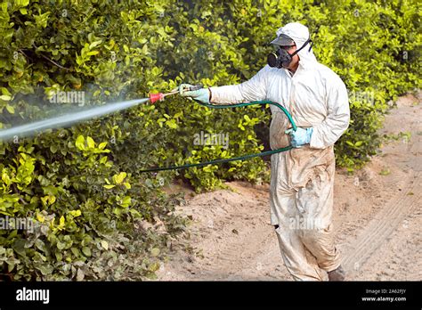 Fumigación De Insecticidas De Malezas La Agricultura Química Industrial Los Pesticidas Tóxicos