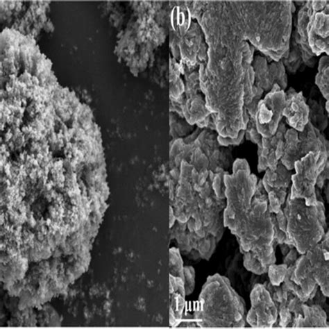 SEM images of a α Fe2O3 300 and b S α Fe2O3 300 Download Scientific