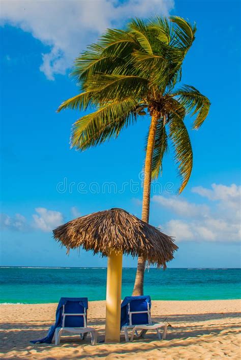 Loungers And Umbrella On Tropical Beach In Mauritius Stock Image