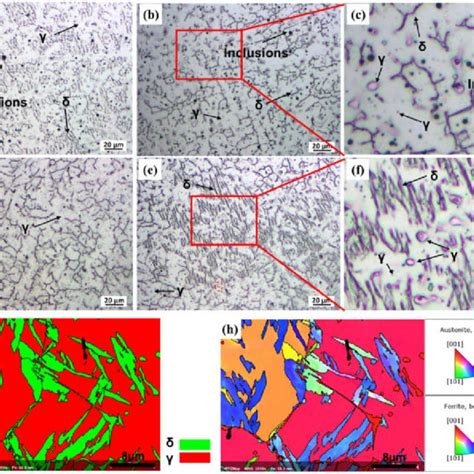 A C Microstructure Of Coating A D F Microstructure Of Coating Download Scientific