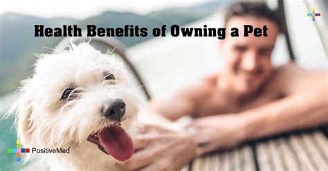 Health Benefits Of Owning A Pet