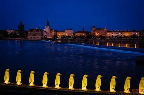 Prague At Sunset Bild Von Naked Tour Guide Prag TripAdvisor