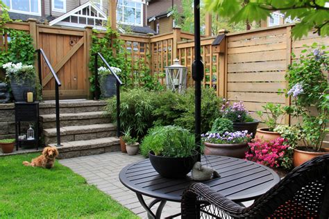 Landscaping Plants for The Backyard - Pool and Landscape