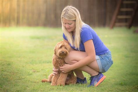 Australian Labradoodles Fort Worth, TX | Dallas Labradoodles