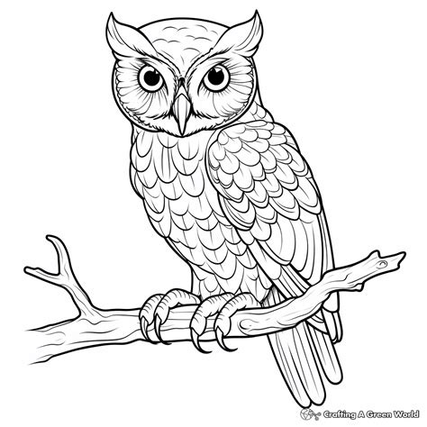 realistic owl coloring pages  printable