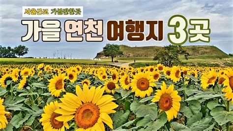 4k 2022년 호로고루 해바라기축제and댑싸리공원feat재인폭포 Youtube