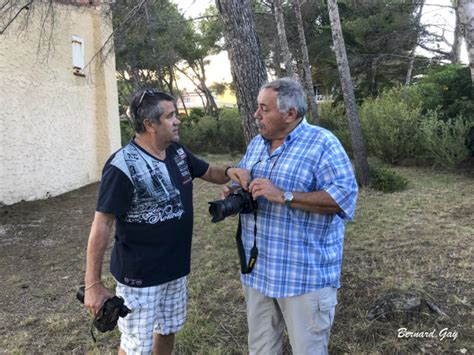 BERNARD GAY PHOTOGRAPHE ET DRONE MARSEILLE FORMATION