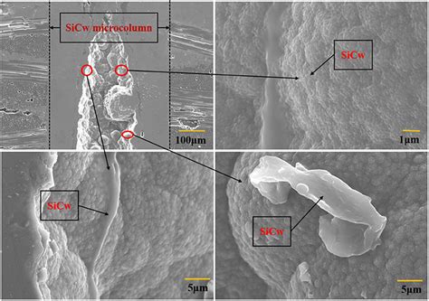 Frontiers Microstructure Of Directionally Modified Sic Whisker C Sic