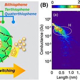 A Schematic Of Mechanically Induced Quaterthiophene Molecular