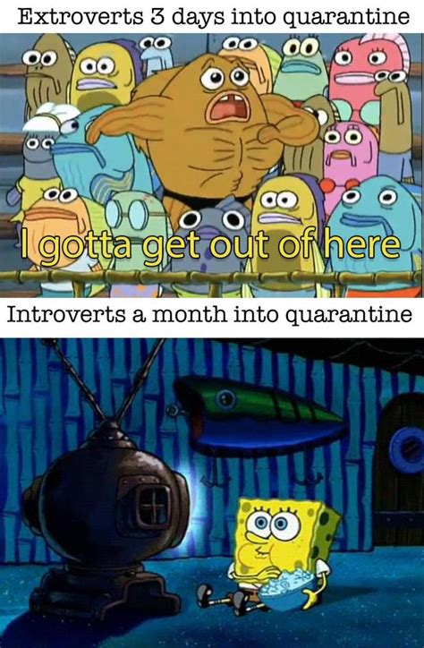 Who Lives In A Pineapple In Quarantine Rbikinibottomtwitter