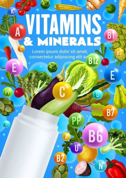 Minerals Multivitamin Complex Plastic Bottle Vitamins Source Vector