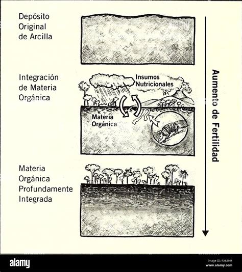 Ecuador Perú Cuyabeno Güeppí 2008 Ecuador Perú Cuyabeno Güeppí