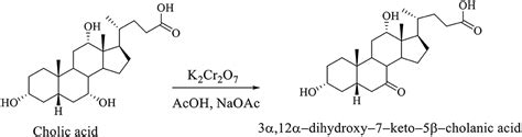 Frontiers Bile Acid Synthesis From Nature To The Chemical