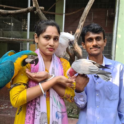 Parrot Dipankar Vlogs Youtube